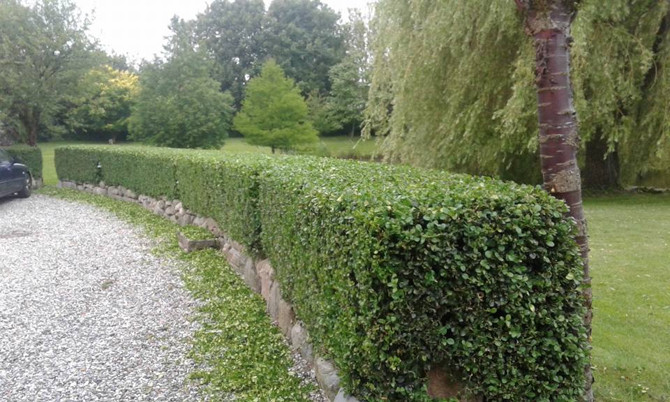 20046840 242551049592031 4643058118778062435 N