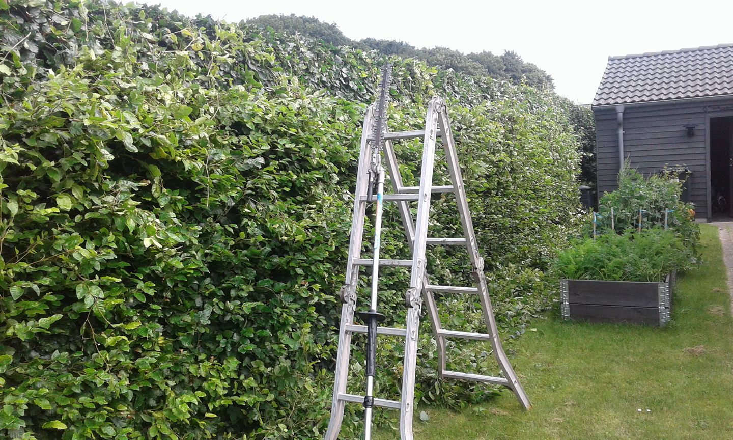 20507312 250642272116242 6584571278505855228 O