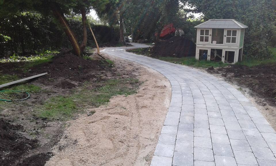 21230779 261907404323062 4219252295294125495 N