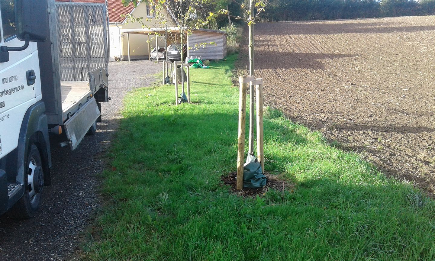 22136983 274384683075334 515097369403312312 O