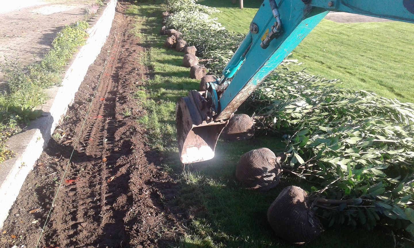 22218371 275554236291712 3310408336043130523 O