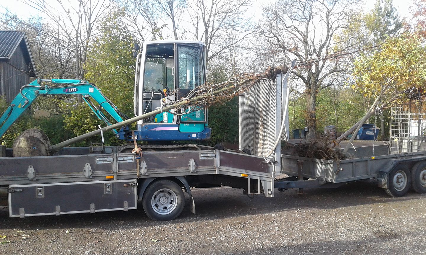 23331262 287771925069943 87286026672536702 O