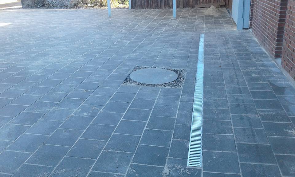 23561312 291547508025718 7945227678031848784 N