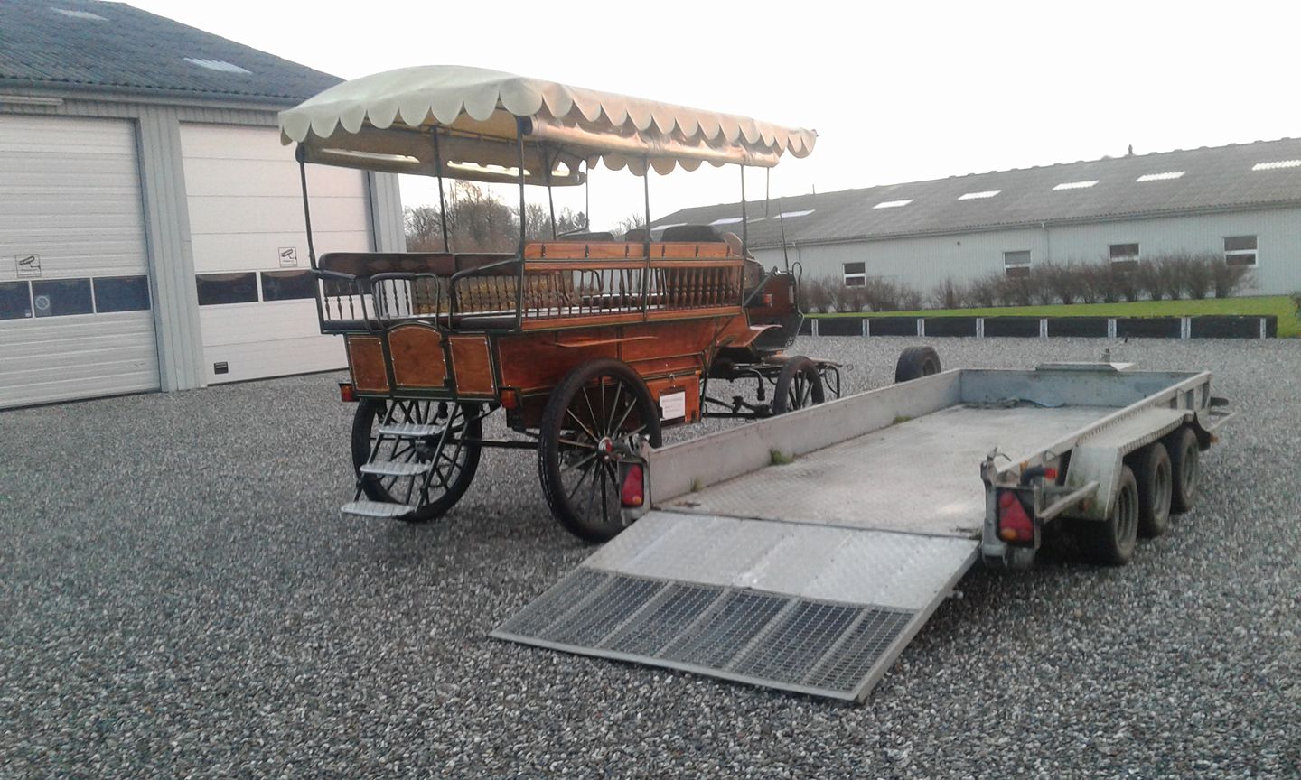 24131973 297208050792997 1059614869501103843 O