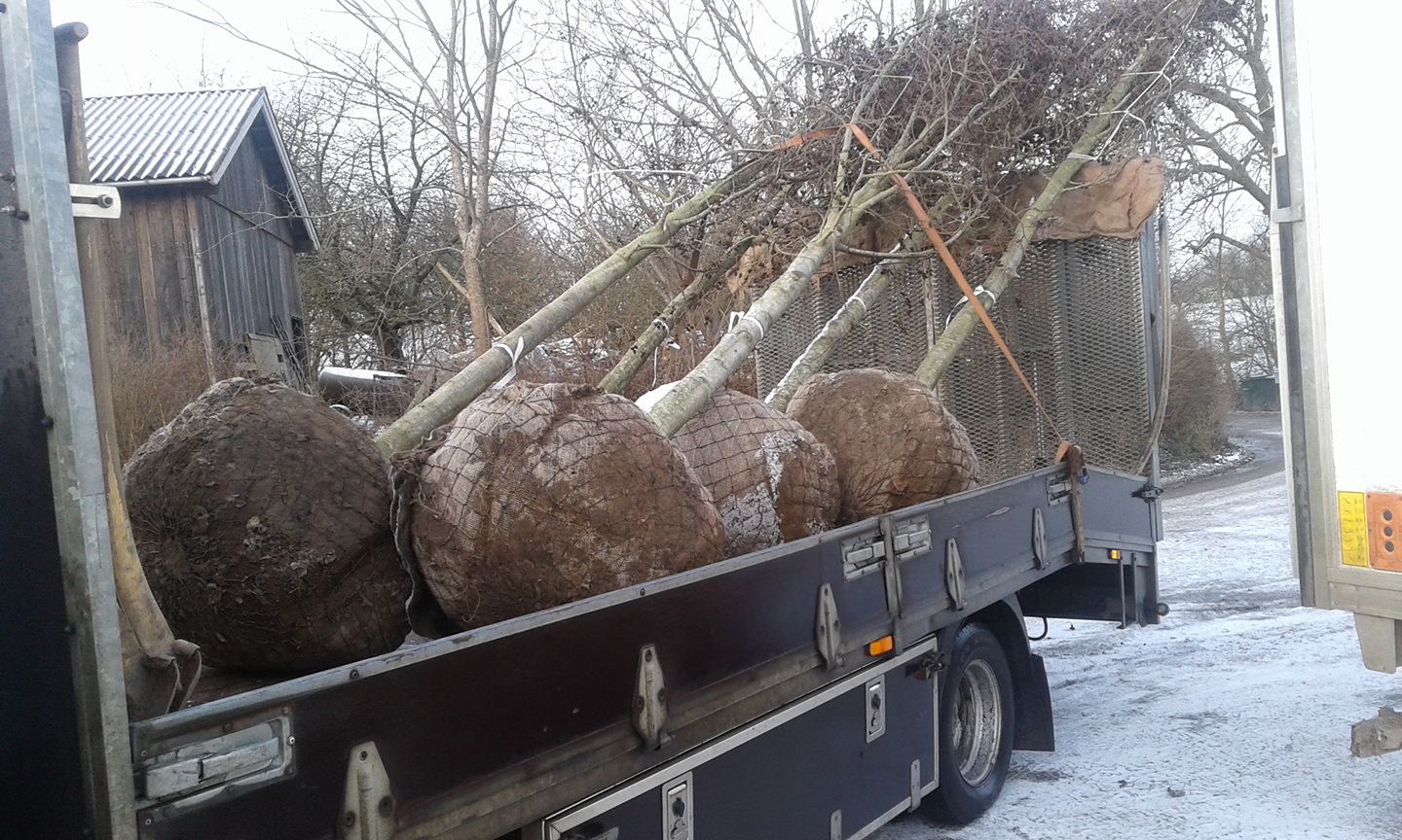 25182059 301559520357850 3981884239705391548 O