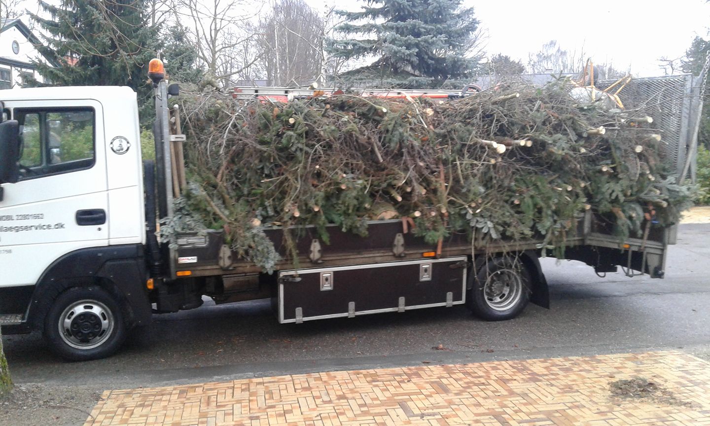 25398019 304326140081188 6009234815894688773 O