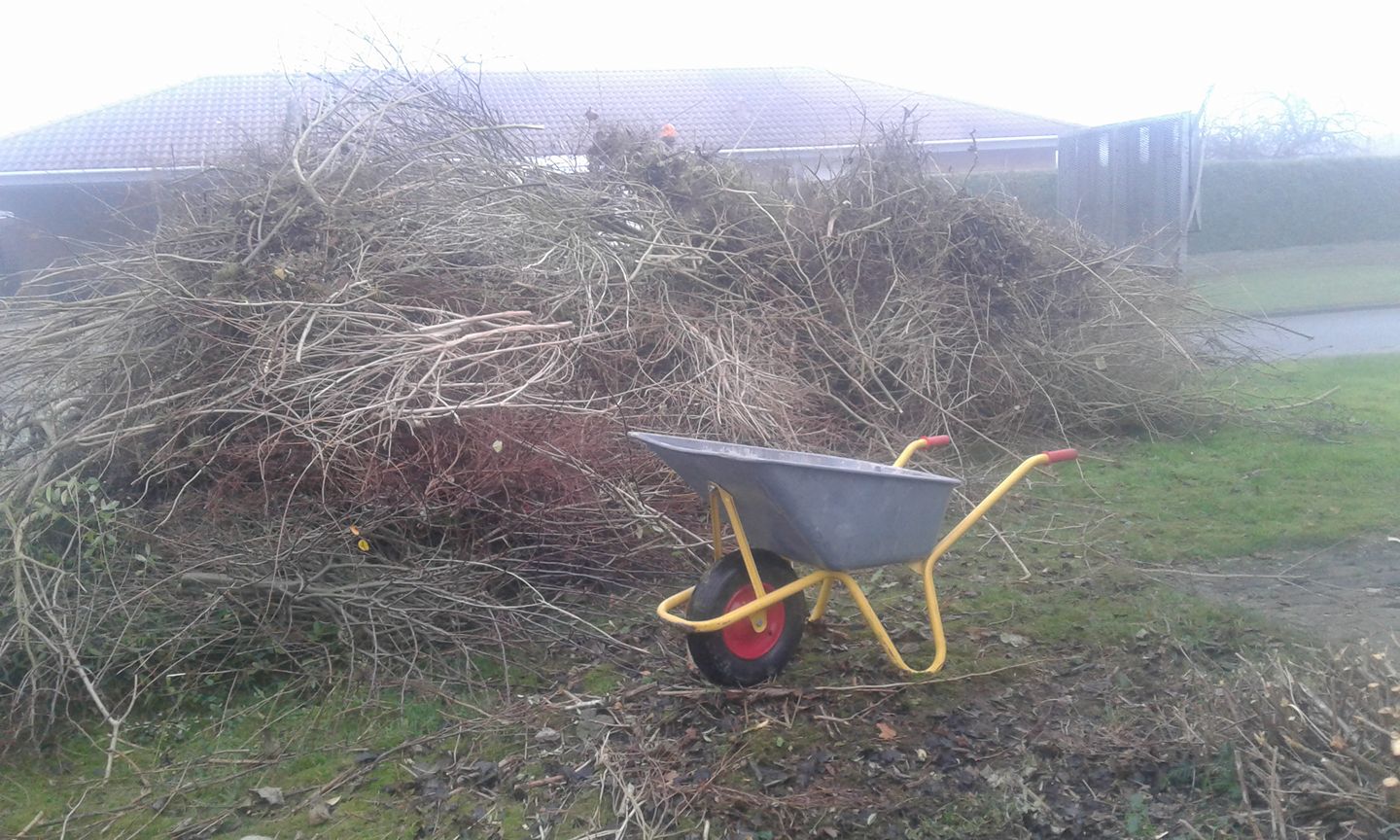 25440088 304769536703515 867178720348419428 O